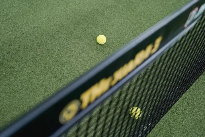 Ball resting against the branded net